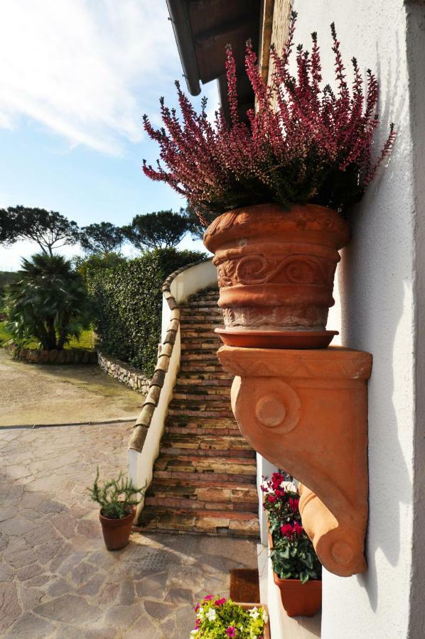 Pepe Guest House Rom Exterior foto