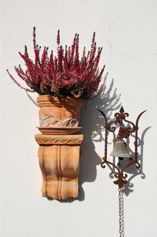 Pepe Guest House Rom Exterior foto